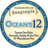Ocean's 12